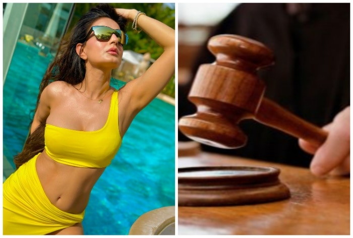 Ameesha Patel Granted Bail in Cheque Bounce Case Ahead of Gadar 2 Release - Vimarsana News
