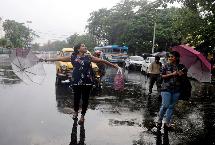 As dolphins return to Kolkata, Bengal men torture one on camera