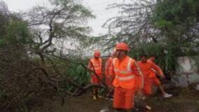 Cyclone Biparjoy: Over 700 Babies Were Born During Evacuation From High-Risk Areas in Gujarat