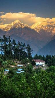 Toy Trains, Monasteries & Tea: Darjeeling, The Queen of Hills