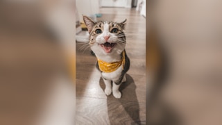 10 Animals That Eat Their Own Babies