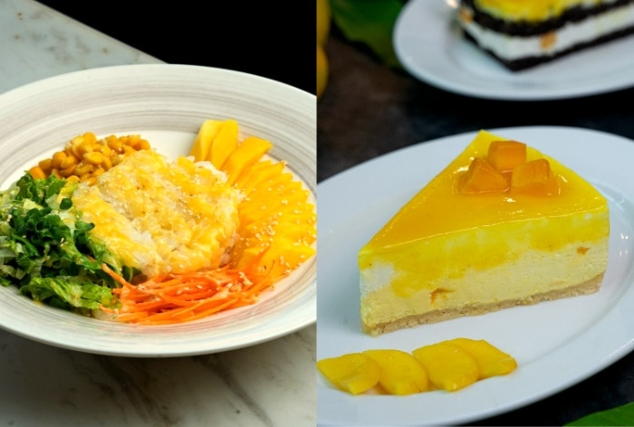Read more about the article A Tropical Paradise for Mango Lovers Food Review