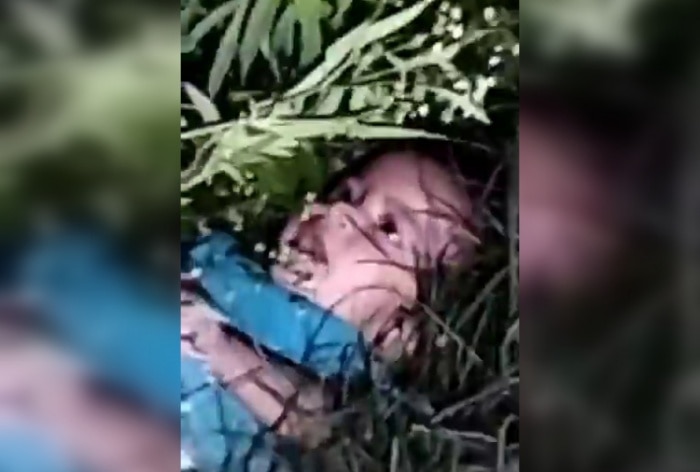 https://www.india.com/uttar-praदेश/1-yr-old-baby-girl-found-dumped-in-bushes-in-ups-moradaba-watch-6162863/1-Yr-बूढ़ी बच्ची मिली यूपी में झाड़ियों में फेंक दिया गया