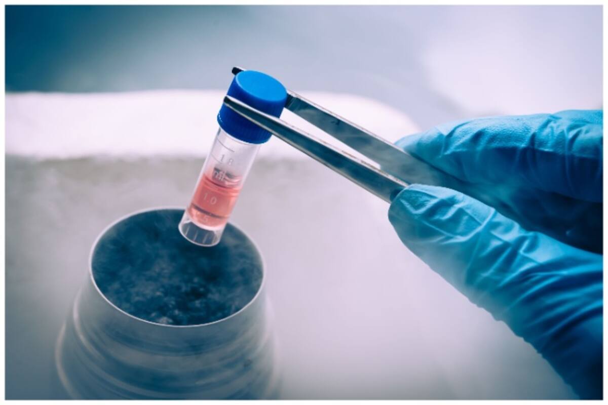 एग फ्रीजिंग: मां बनने के लिए क्या है सही उम्र? जानें कितना आता है खर्चा एग फ्रीजिंग: मां बनने के लिए क्या है सही उम्र? जानें कितना आता है खर्चा