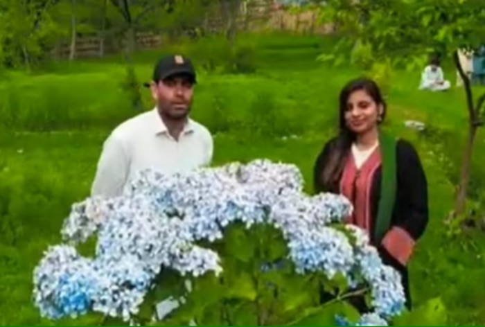 New Twist In Anju-Nasrullah 'Love' Story: Indo-Pak 'Couple' Deny Marriage Rumors | Watch