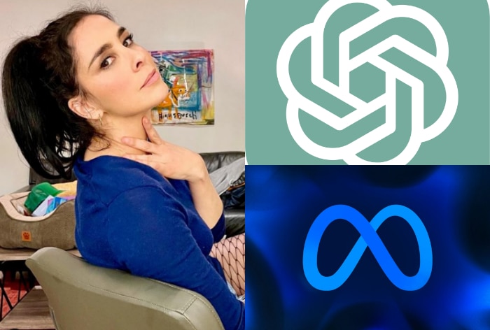 OpenAI, Meta Sued For Copyright Infringement By Sarah Silverman, Christopher Golden