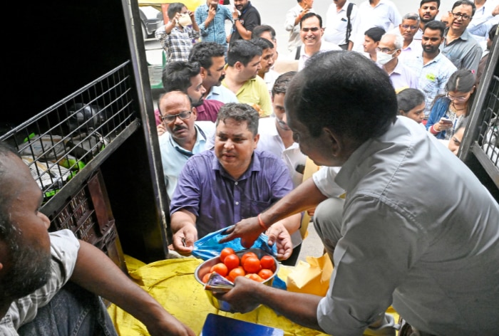 People in Delhi NCR buying tomatoes at discounted rates from the government van. (Image : ANI)