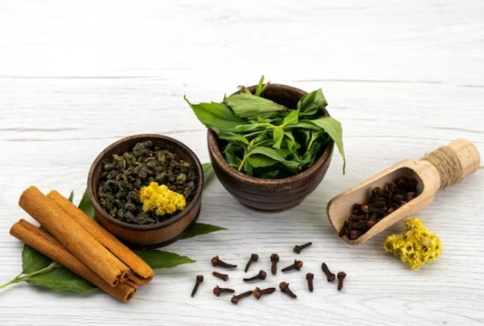 5 Herbs to Boost Your Overall Health During Monsoon