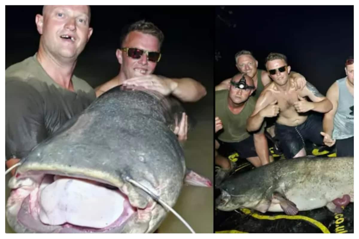3 Friends From Britain Catch Biggest Wels Catfish Ever In Spain News Goes  Viral
