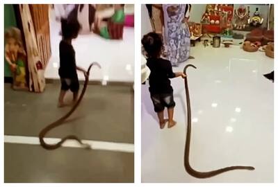 Kid plays with snake, What is this kid playing with?! 😱😱, By Daily Mail