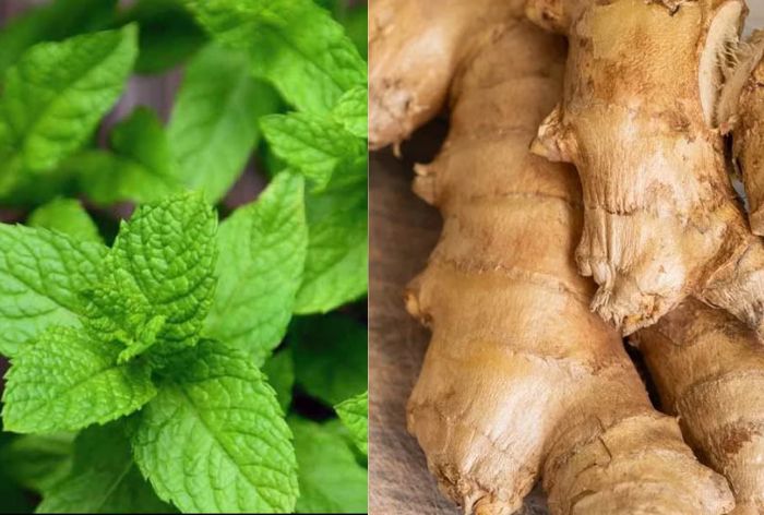 Ginger, Tulsi To Black Pepper: 5 Superfoods To Keep You Healthy In Monsoon