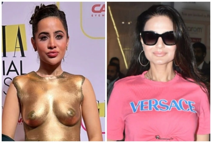 Urfi Javed Lashes Out at Gadar 2 Actress Ameesha Patel For Her Homophobic Remarks - Vimarsana News