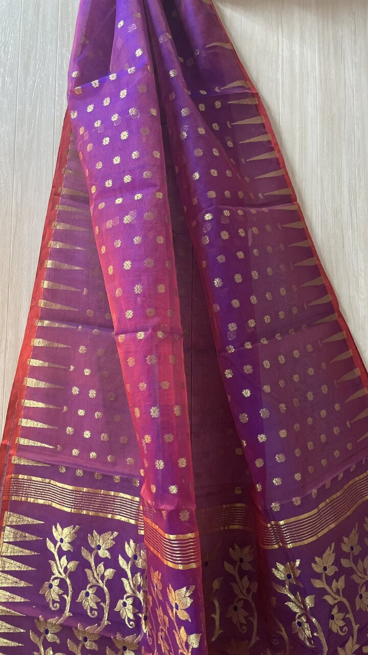 Andhra Handloom Cotton Saree at Best Price in Hyderabad | Om Sai Handlooms