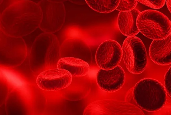 4 Foods That Can Affect The Way Your Blood Clots