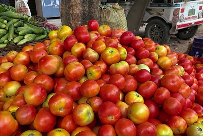 5 Tonne Tomatoes Imported From Nepal In Transit; To Be Sold In UP At Subsidised Rates. Check Details Here