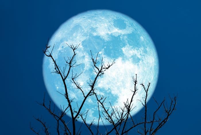 Super Blue Moon 2023: Here's When And How You Can Watch The 