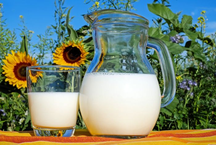 दूध में उबालकर पिएं सूखी अदरक, सेहत को होंगे कई फायदे