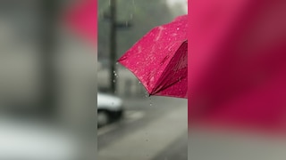 Weather Update: Heavy Rainfall Likely In These States