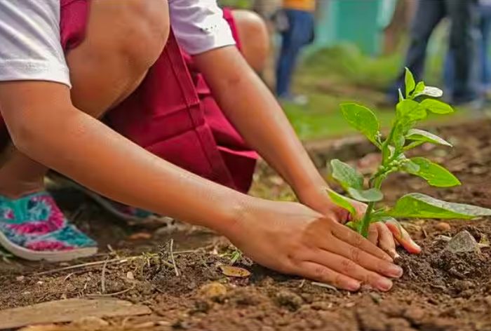 77th Independence Day: From Planting Trees To Cleaning Surroundings, Ways To Celebrate Occasion