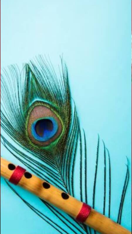 Vastu Secret to Attracting Wealth: Keep a Peacock Feather in Your Home