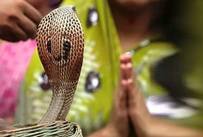 Nag Panchami 2024: Know about Muhurat timings, Puja rituals and mythology