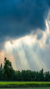 Indepedence Day पर Delhi-NCR में कैसा रहेगा मौसम, जानिए बारिश होगी या खिलेगी धूप