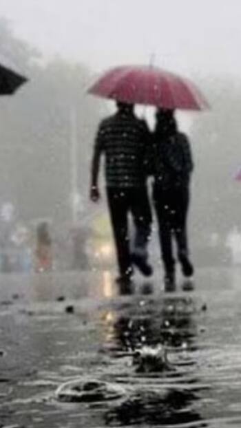 Tamil Nadu Weather Update: Heavy Rains Predicted For 16 Districts