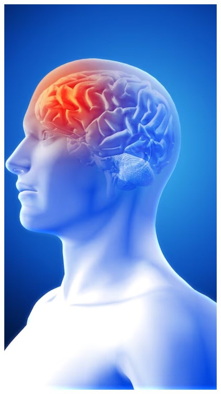 याददाश्त बढ़ाने के लिए खाएं ओमेगा 3 से भरपूर ये फूड