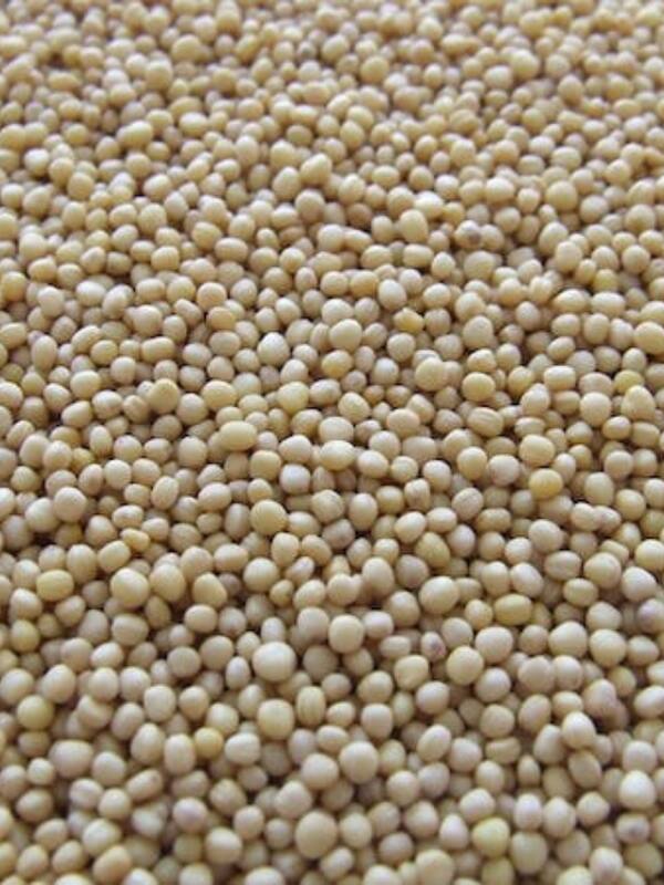 5 Health Benefits of Soy