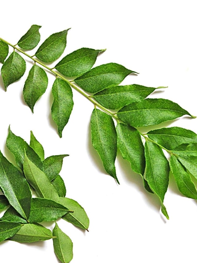 9-amazing-benefits-of-curry-leaves