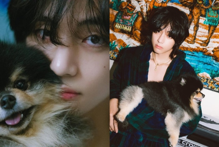 BTS V Heartbreaking Revelation About Pet Dogs Heart Problems Leaves ...