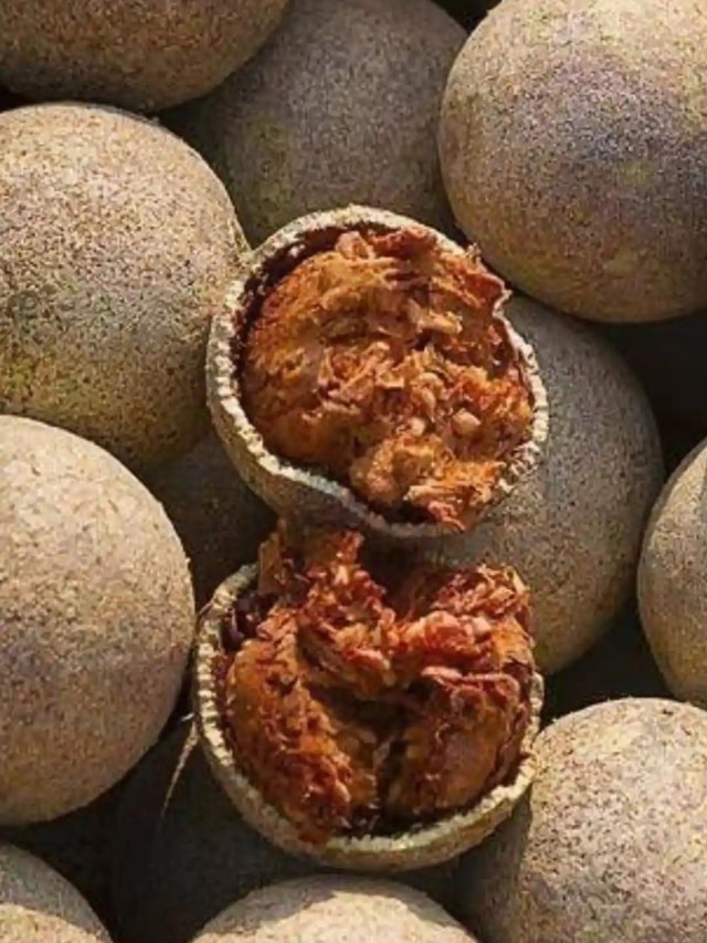 5 Health Benefits Eating Wood Apple