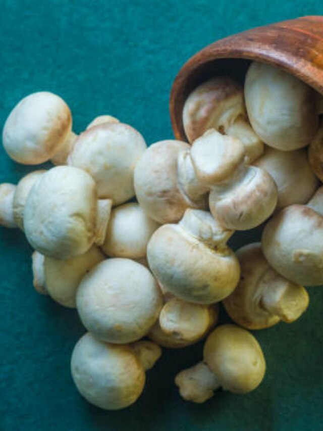 7 Incredible Health Benefits of Mushrooms