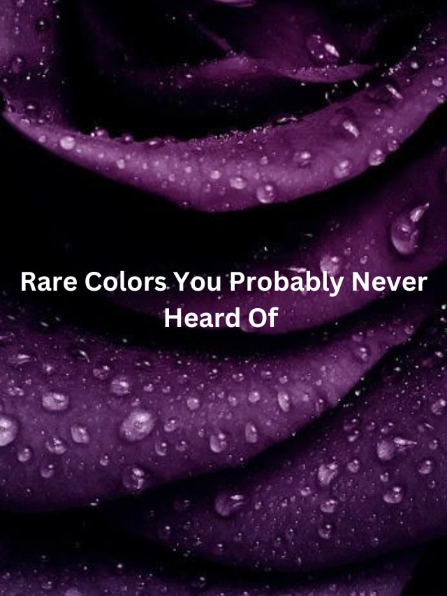Rare Colors You Probably Never Heard Of