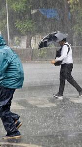 Telangana Weather Update: IMD Predicts Heavy Rains, Issues Yellow Alert