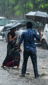 Tamil Nadu Weather Update: IMD Predicts Heavy Rains For These Districts