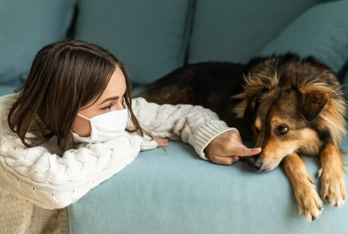 What is Brucella Canis, Bacterial Infection Spreading From Dogs to Humans? All You Need to Know