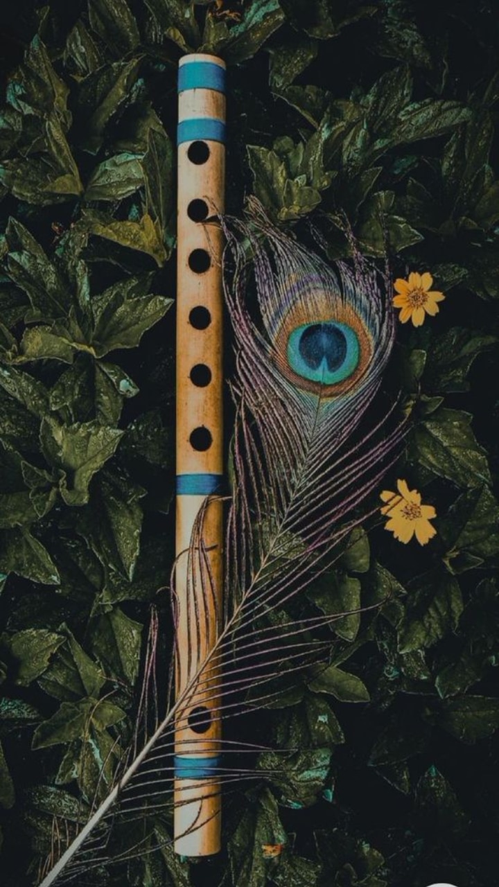 Pin by⸺̫ᷟƦıı̈̽ʈıı͜͡ʞʌ̚ ᭄𓆪 𑁍 on vector | Flute drawing, Art logo, Krishna  flute