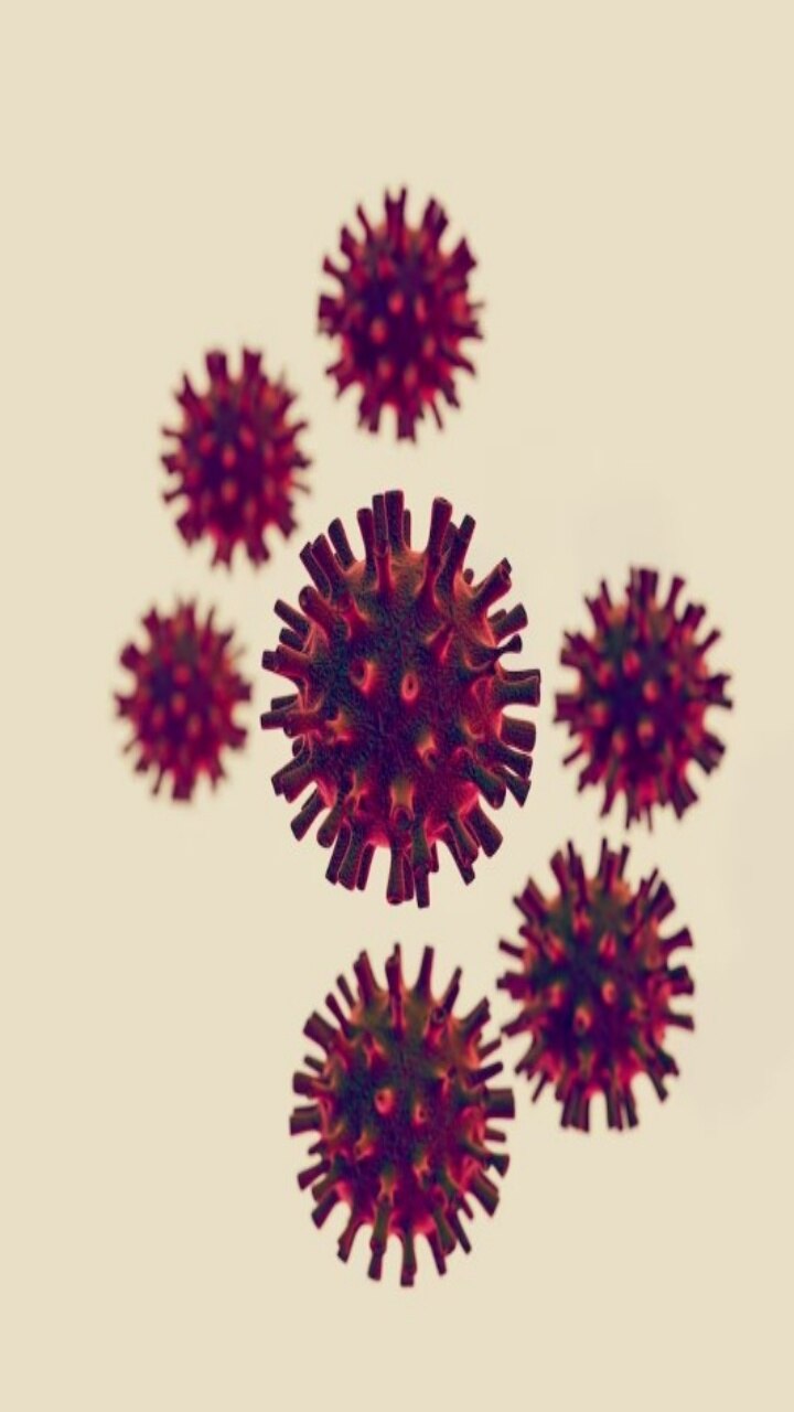 Nipah Virus 10 Symptoms to Know Apart From Fever