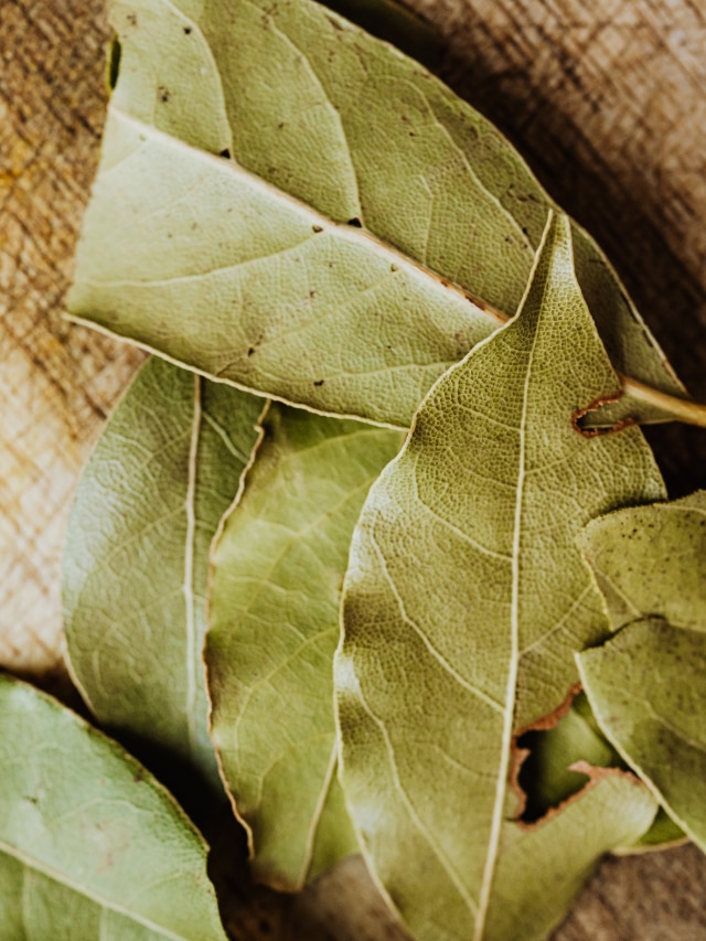 5 Tips To Attract Money With Bay Leaves In Pics