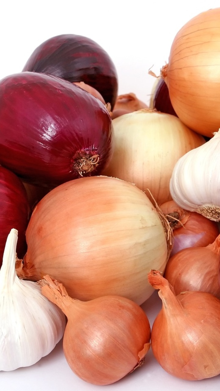 7 Countries With The Highest Onion Production In The World