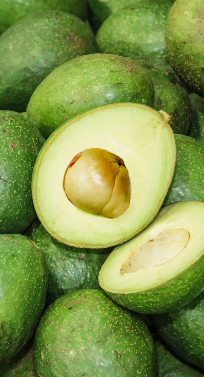Avocado इतना महंगा क्यों है? जान गए तो रोज खाने की सोचेंगे