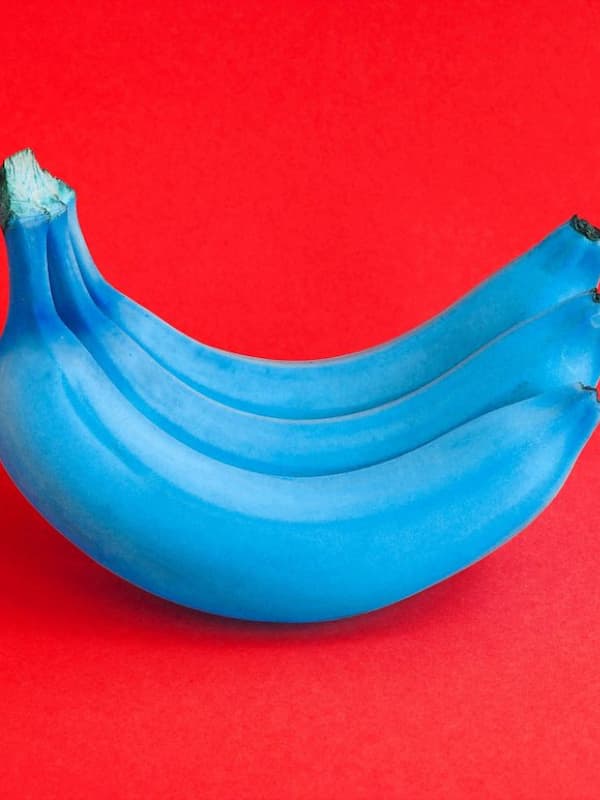 blue bananas