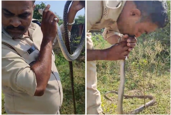 Can CPR Work On A Snake? MP Cop's Heroic Act Has Answers | WATCH