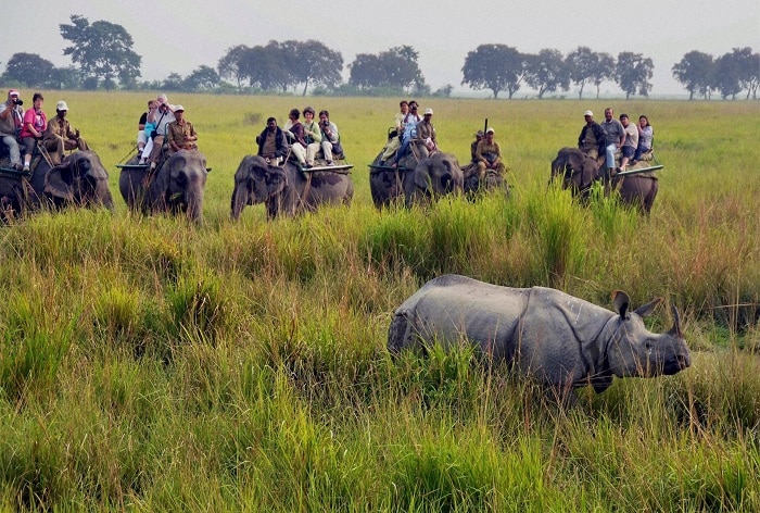 Kaziranga National Park: 15 अक्टूबर से टूरिस्टों के लिए फिर से खुलेगा काजीरंगा नेशनल पार्क