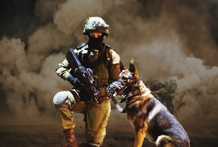 Army k9 hot sale