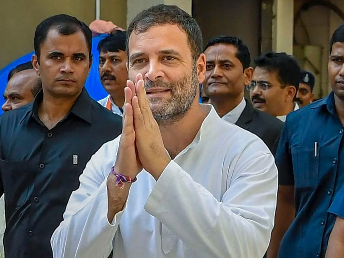 Caste Census: Will Rahul Gandhi’s New Poll Plank Help Congress Win Upcoming Elections? Read Here