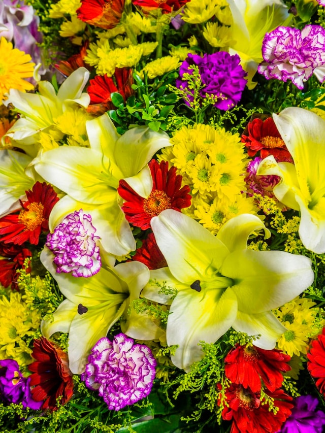 Top 10 Most Fragrant Flowers In The World