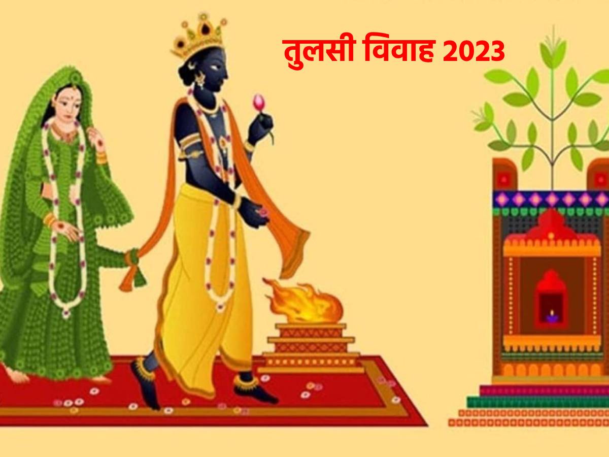 Tulsi Vivah 2023 Date And Timing: कब है तुलसी विवाह? नोट करें डेट, शुभ ...