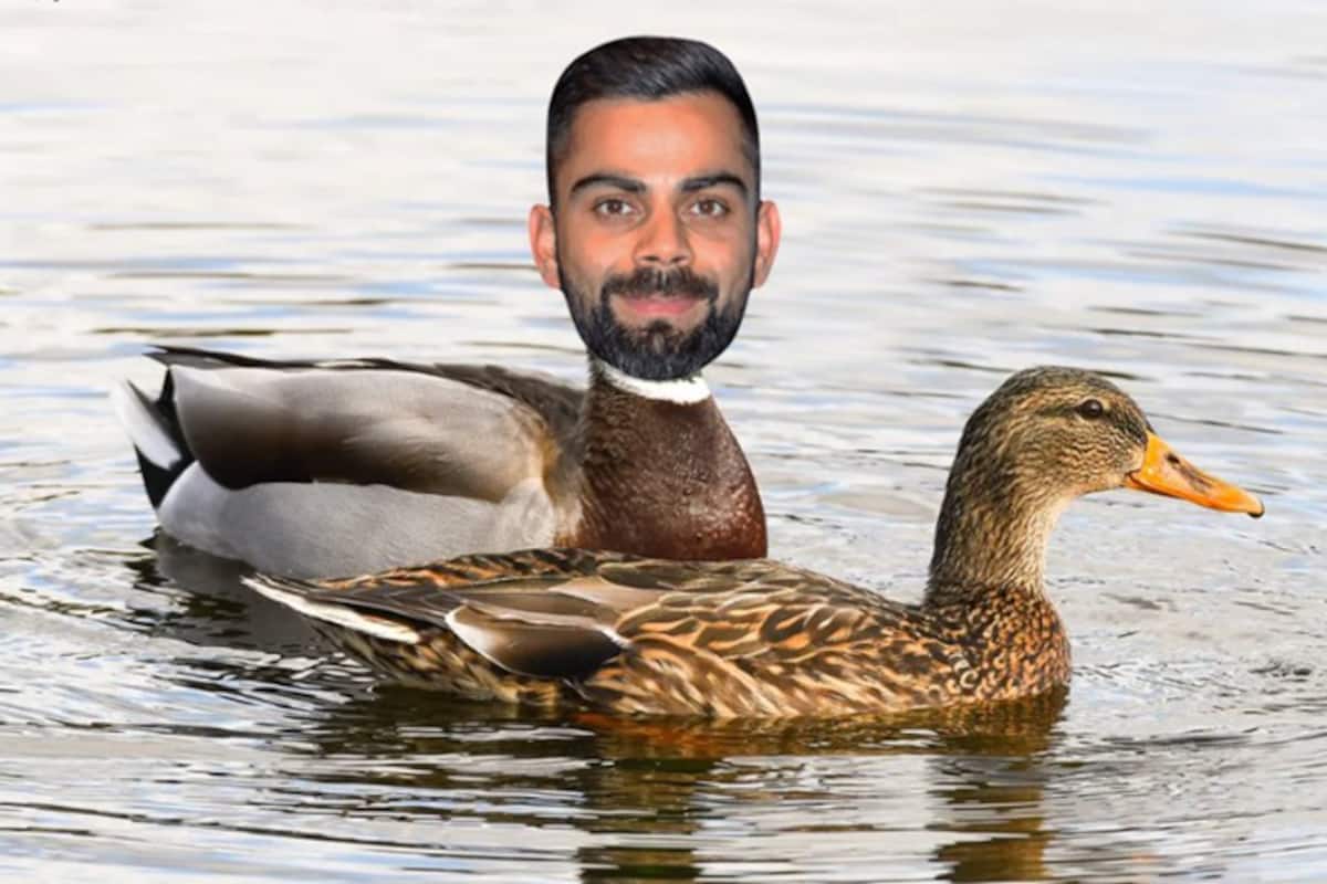 Kohli Memes kohli-memes